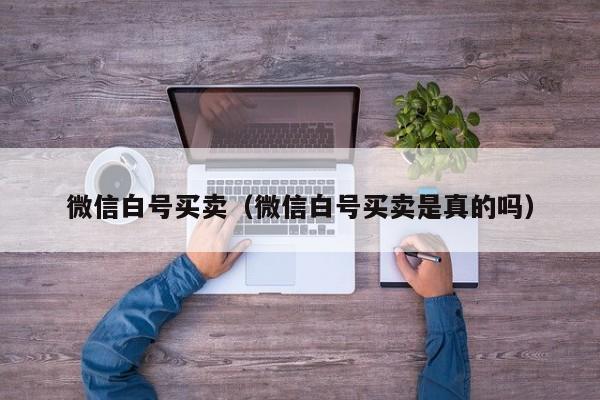 微信白号买卖（微信白号买卖是真的吗）