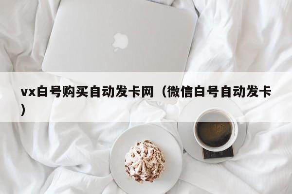 vx白号购买自动发卡网（微信白号自动发卡）