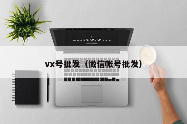 vx号批发（微信帐号批发）