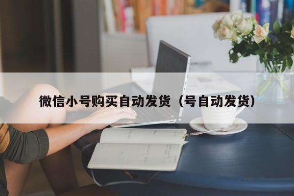 微信小号购买自动发货（号自动发货）
