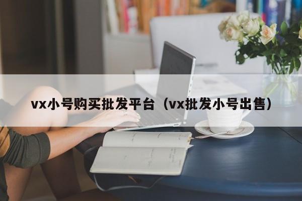 vx小号购买批发平台（vx批发小号出售）