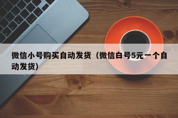 微信小号购买自动发货（微信白号5元一个自动发货）