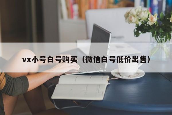 vx小号白号购买（微信白号低价出售）