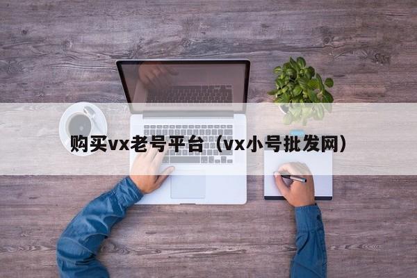 购买vx老号平台（vx小号批发网）