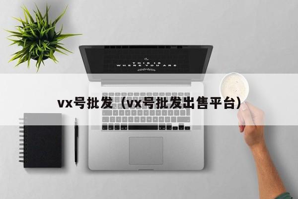 vx号批发（vx号批发出售平台）