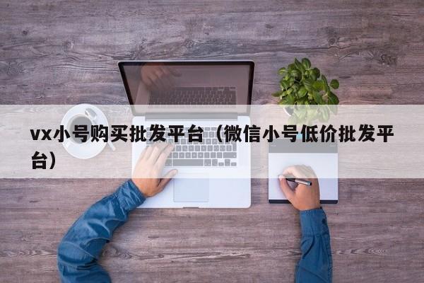 vx小号购买批发平台（微信小号低价批发平台）