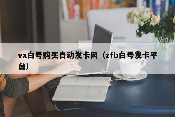 vx白号购买自动发卡网（zfb白号发卡平台）