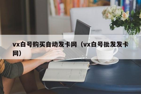 vx白号购买自动发卡网（vx白号批发发卡网）