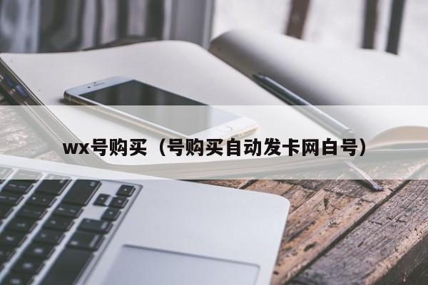 wx号购买（号购买自动发卡网白号）