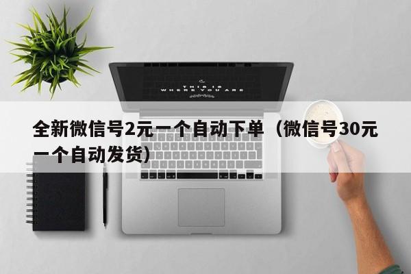 全新微信号2元一个自动下单（微信号30元一个自动发货）