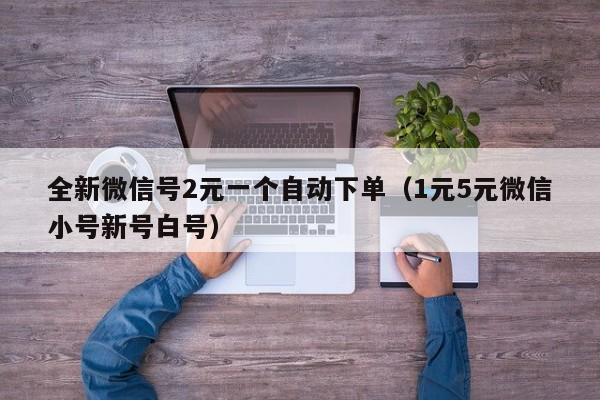 全新微信号2元一个自动下单（1元5元微信小号新号白号）