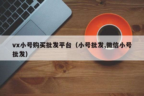 vx小号购买批发平台（小号批发,微信小号批发）