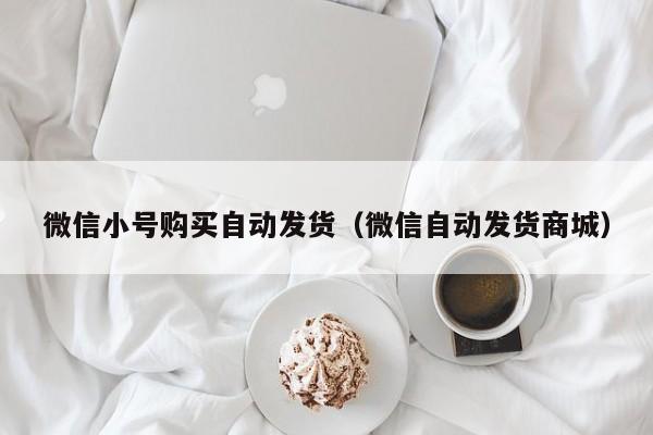 微信小号购买自动发货（微信自动发货商城）
