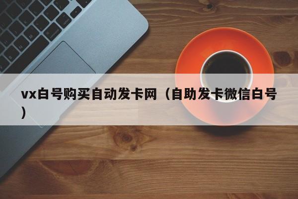 vx白号购买自动发卡网（自助发卡微信白号）