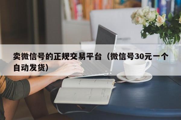 卖微信号的正规交易平台（微信号30元一个自动发货）
