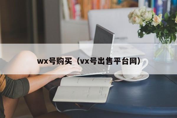 wx号购买（vx号出售平台网）
