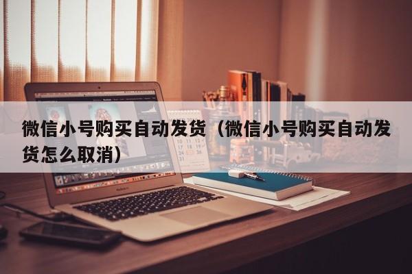 微信小号购买自动发货（微信小号购买自动发货怎么取消）