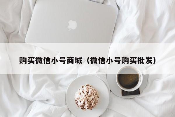 购买微信小号商城（微信小号购买批发）