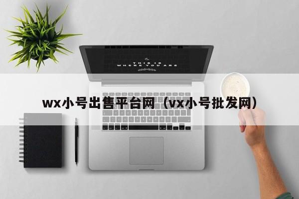 wx小号出售平台网（vx小号批发网）