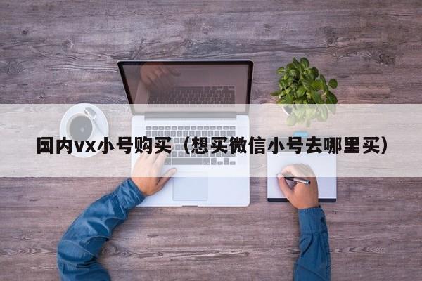 国内vx小号购买（想买微信小号去哪里买）