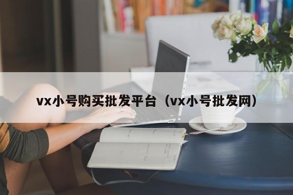 vx小号购买批发平台（vx小号批发网）