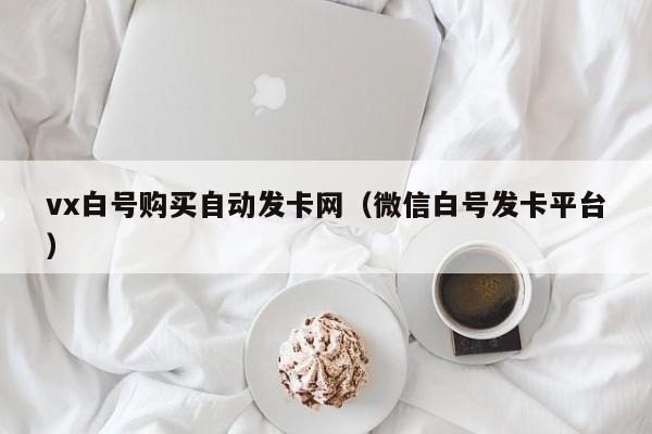 vx白号购买自动发卡网（微信白号发卡平台）